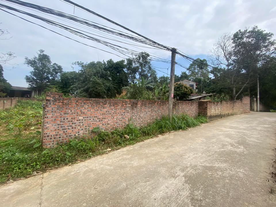 Đất thổ cư 130m² khu phố 7 Kim Đức, Việt Trì - Giá chỉ 1 tỷ, đầu tư sinh lời cao!