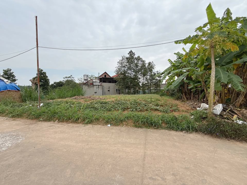 Đất thổ cư 300m² tại Uỷ ban xã Hy Cương - Giá 2.85 tỷ, vị trí đắc địa!