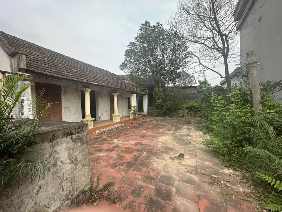 Đất thổ cư 93m² tại thôn Tiên Quán, Bình Lục - Cơ hội đầu tư tuyệt vời!