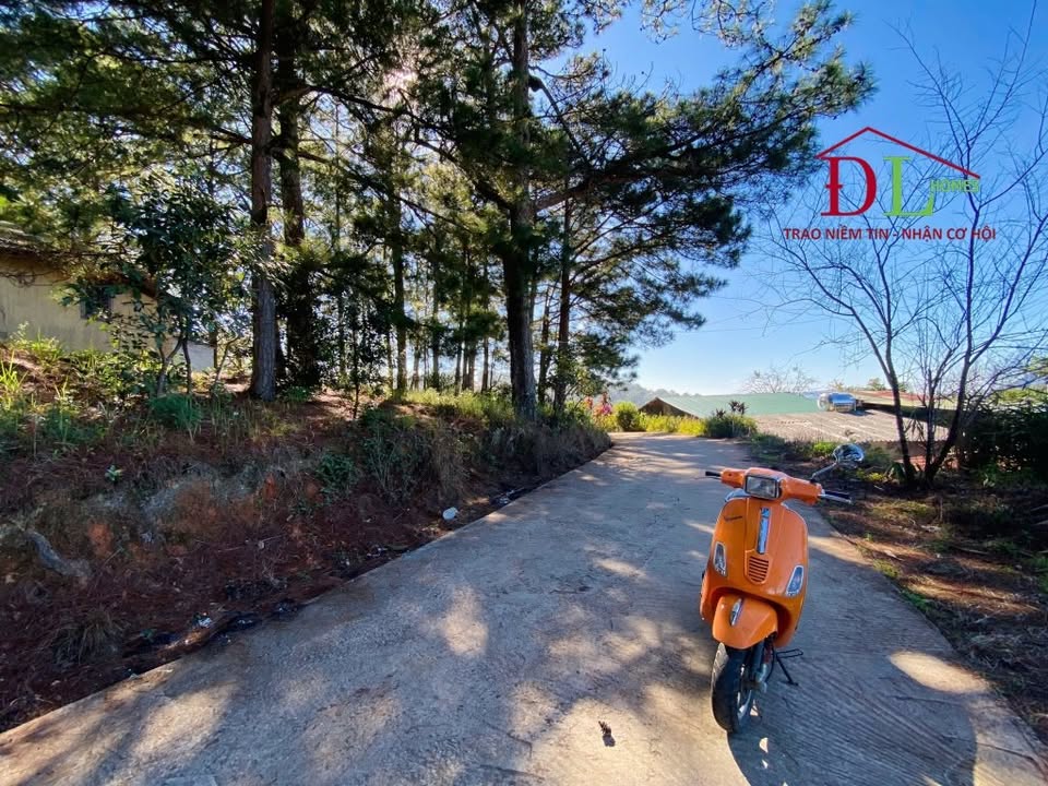 Lô đất Đà Lạt 655m² giá 12 tỷ - View thung lũng đồi thông tuyệt đẹp!