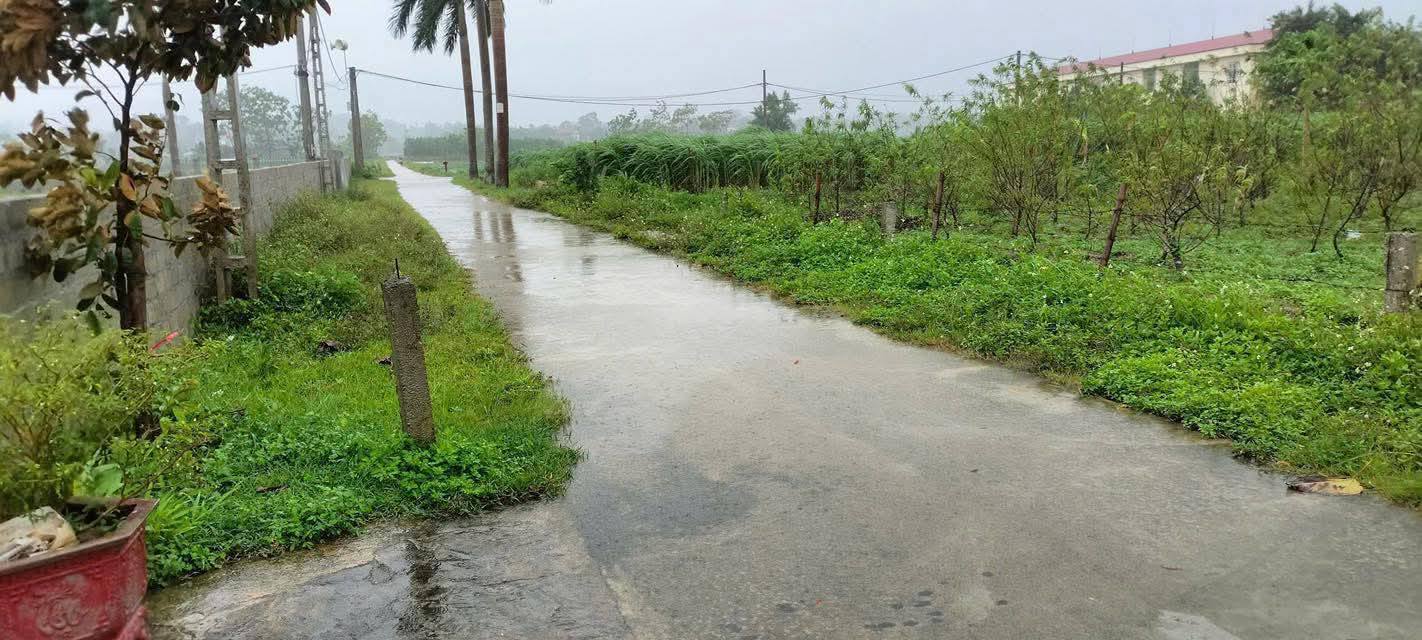 Đất thổ cư 136m² tại xã Cự Đồng, Thanh Sơn - Giá chỉ 900 triệu!