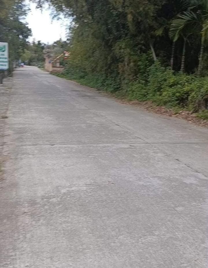 Nhà đất Cẩm Toại, Hòa Phong 243m² - Không gian sống xanh lý tưởng