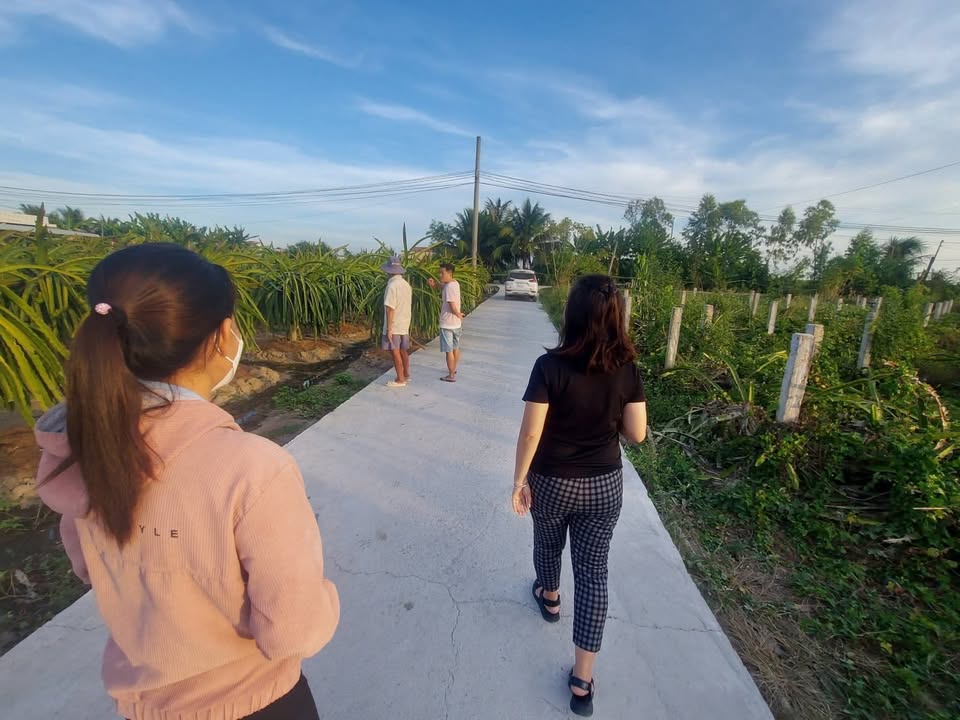 Đất thổ cư 160m² tại Thanh Phú Long, Châu Thành, Long An - Giá chỉ 200 triệu!