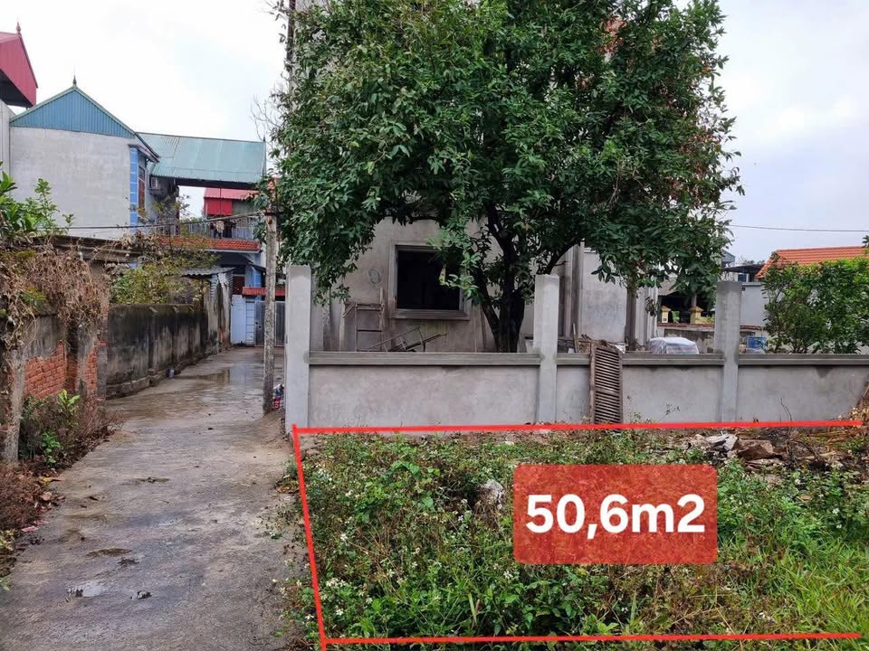Nhà riêng Tam Hưng, Thanh Oai 50.6m² - Tiềm năng sinh lời cao!