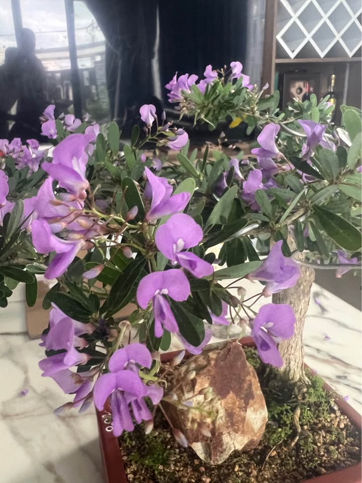 Đất nền khu TDC Khánh Hội Ninh Thuận 152m² giá 1.45 tỷ - Cơ hội đầu tư tuyệt vời!