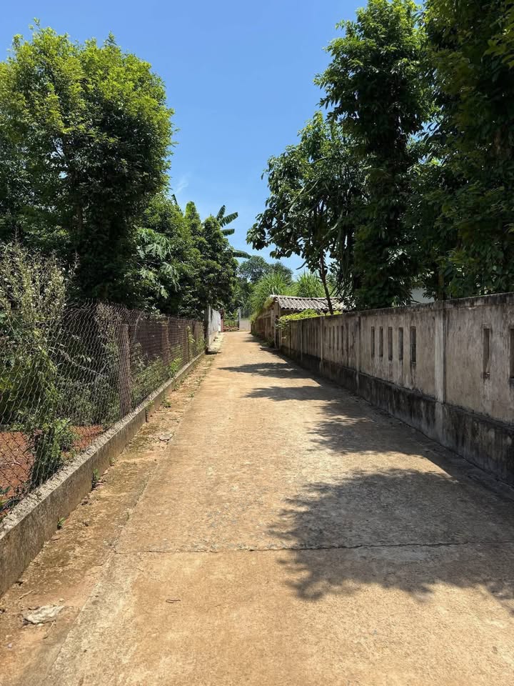 Đất nền Cửa Tùng - Vĩnh Linh 364m² giá chỉ 500 triệu - Cơ hội đầu tư tuyệt vời!