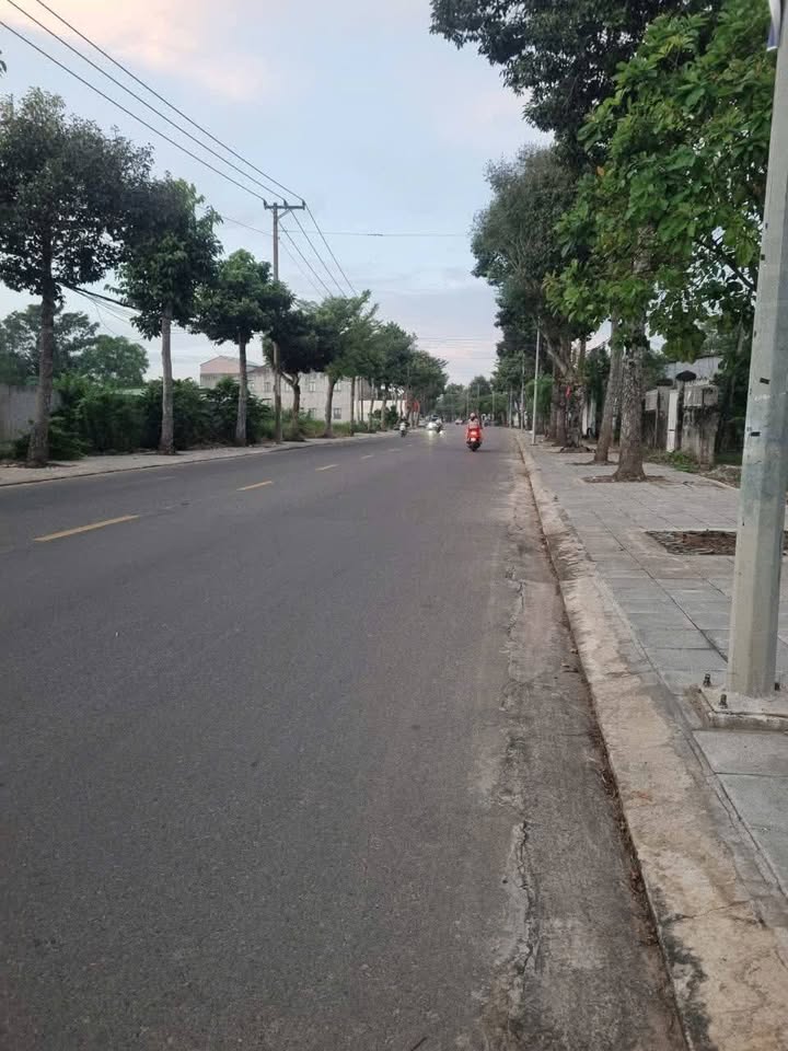 Đất nền mặt tiền đường Bùi Công Minh, Long Điền, 16,000m² - Cơ hội đầu tư tuyệt vời!