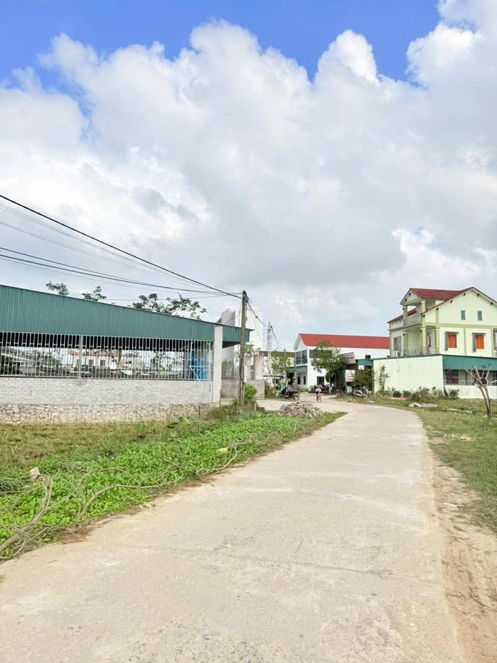 Đất nền Bình Minh Yên Thành 30390m² giá 3 tỷ - Đầu tư sinh lời ngay!