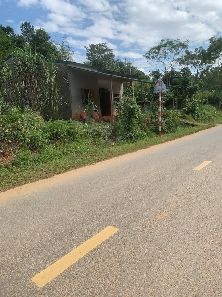 Đất mặt tiền đường Phú Linh 810m² giá 1.3 tỷ - Cơ hội đầu tư sinh lời!