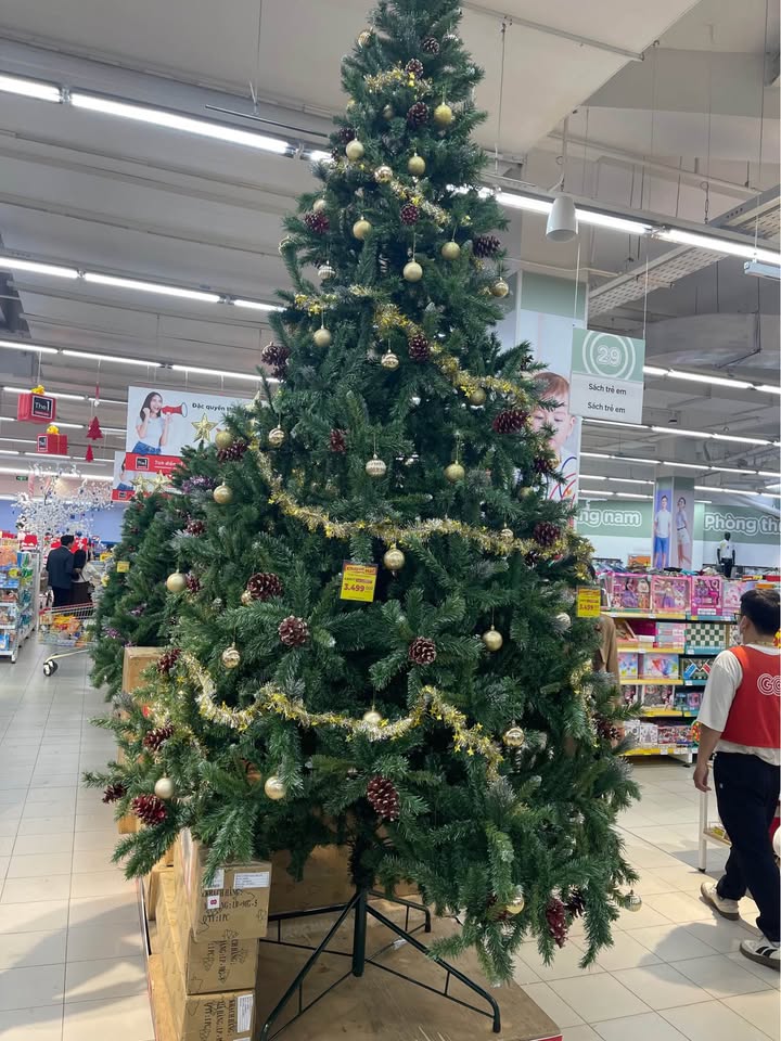 Đất nền Đà Lạt 138m² giá 850 triệu - Sổ hồng chính chủ, đường ô tô vào tận nơi!