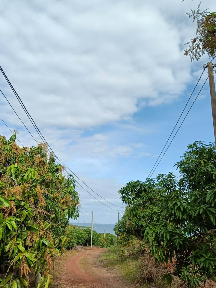 Đất 9.300m² xã La Ngà, Đồng Nai - Mặt tiền 69m, giá 3.2 tỷ - Đầu tư sinh lời!