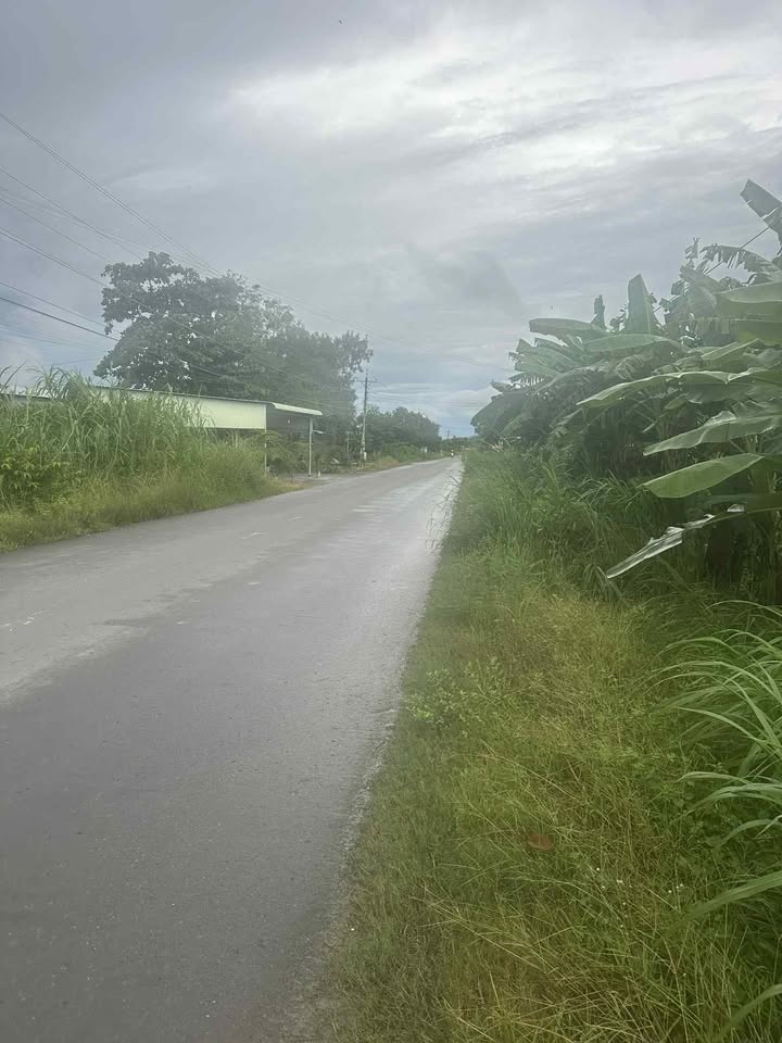 Đất mặt tiền đường nhựa lớn xã Thành Long 4,5 mẫu - Pháp lý rõ ràng, giá 18 tỷ