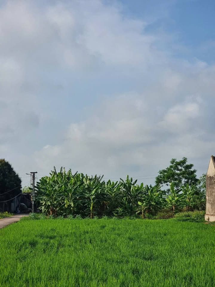 Đất Nghĩa Thành, Nghĩa Hưng 360m² giá 600 triệu - Cơ hội đầu tư tuyệt vời!