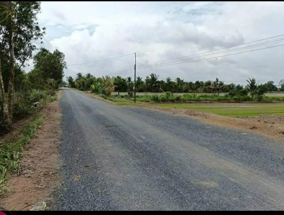 Đất nền 5 công tại Đa Hoà Bắc, Châu Thành, Trà Vinh - Giá chỉ 1.5 tỷ, Đầu tư sinh lời ngay!