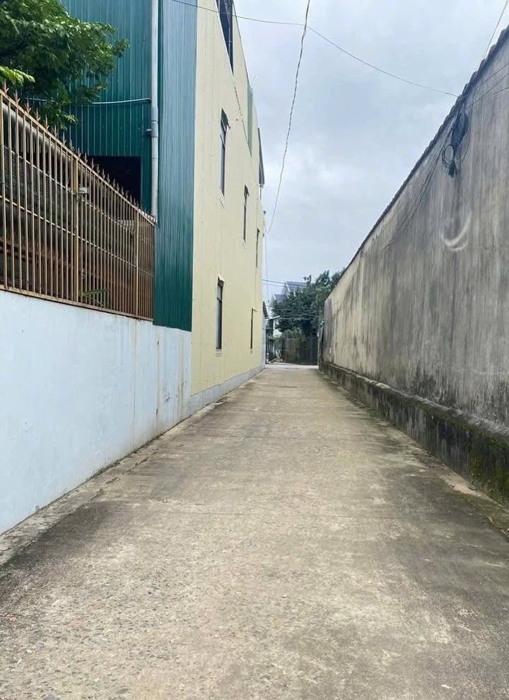 Đất hẻm Nguyễn Trãi, Quảng Ngãi 95m² giá 1.3 tỷ - Cơ hội đầu tư tuyệt vời!