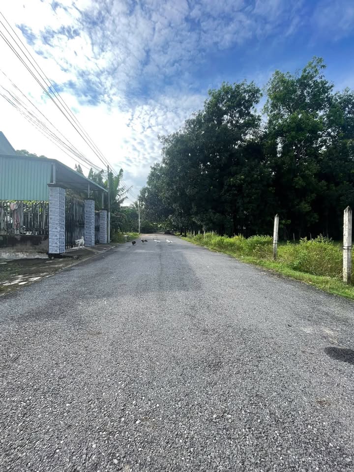 Đất nền Định Hoà, Thủ Dầu Một 1950m² - Sổ đỏ chính chủ, giá thỏa thuận!