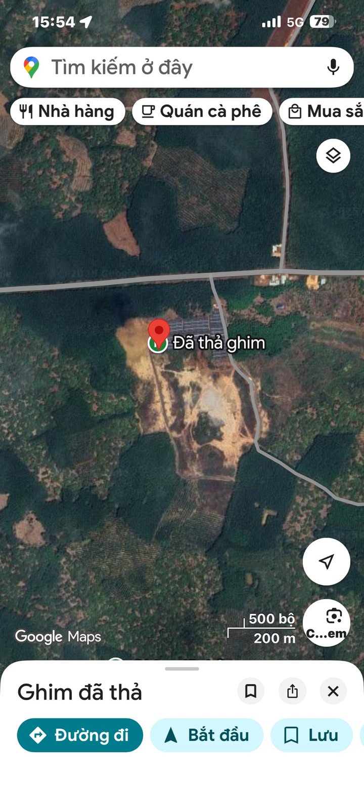 Đất nền Phú Hoà - Phú Riềng 125m² giá 185 triệu - Đầu tư sinh lời ngay!