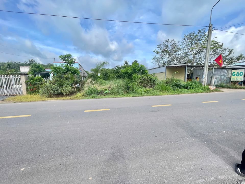 Đất nền 953m² mặt tiền đường Phùng Hưng, xã An Viễn - Đầu tư sinh lời tuyệt vời!