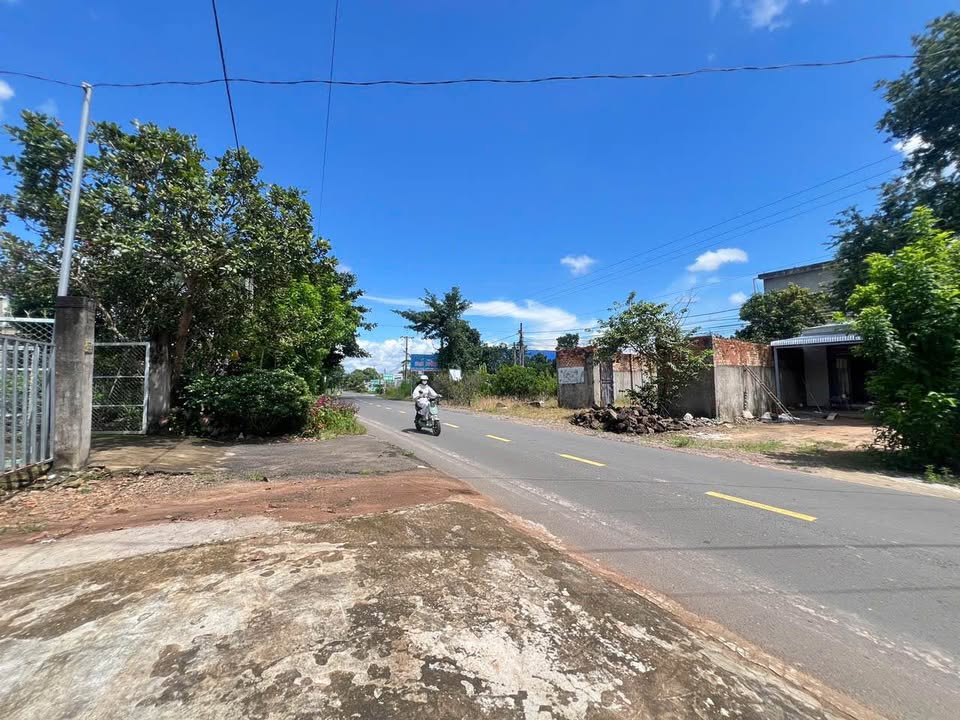 Cho thuê nhà Trà Cổ 1500m² - Khu vực tiềm năng gần KDL Suối Mơ!