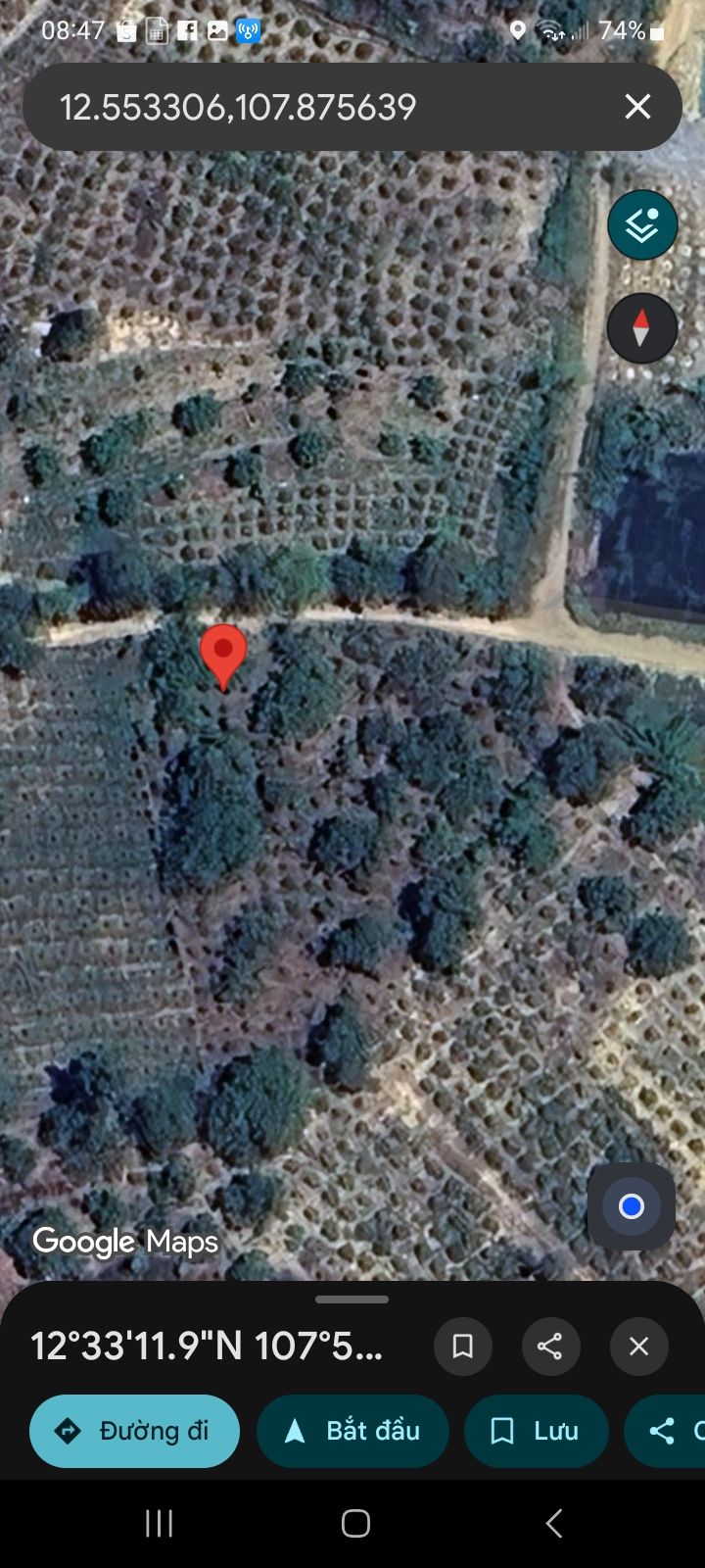 Farm 3,6ha Đắk Sôr, Krông Nô giá 2 tỷ - Đầu tư sinh lời hấp dẫn!