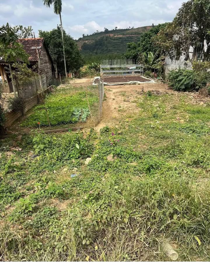 Đất nền mặt tỉnh lộ Nam Xuân 650m² giá chỉ 1.2 tỷ - Cơ hội đầu tư tuyệt vời!