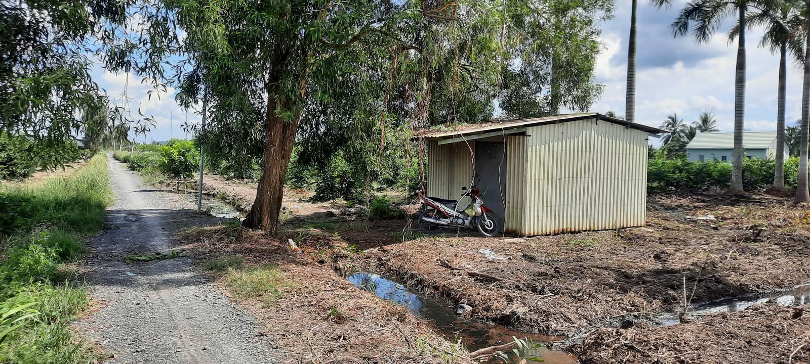 Đất vườn Thạnh Hoà, Bến Lức 1007.5m² giá 1.1 tỷ - Đường ô tô vào tận nơi!