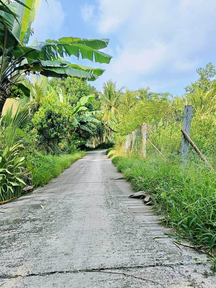 Đất Vũng Liêm 3550m² giá 1.75 tỷ - Cơ hội đầu tư hấp dẫn!