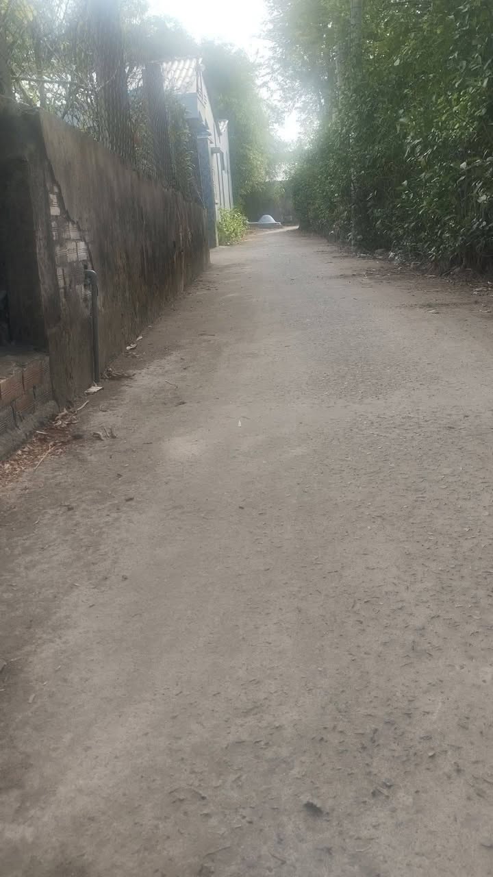 Đất nền xã Mỹ Chánh Hòa, Ba Tri, Bến Tre 265m² - Giá chỉ 450 triệu!