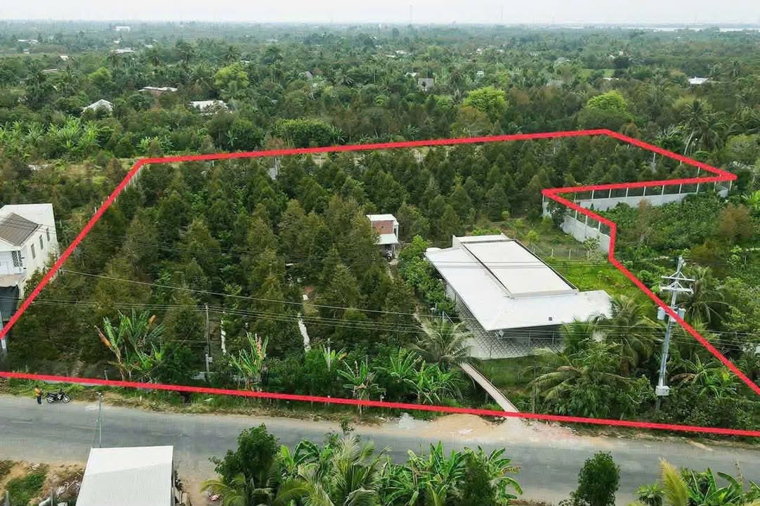 Đất nền Hòa Nghĩa Chợ Lách 7000m² giá 13 tỷ - Cơ hội đầu tư không thể bỏ lỡ!