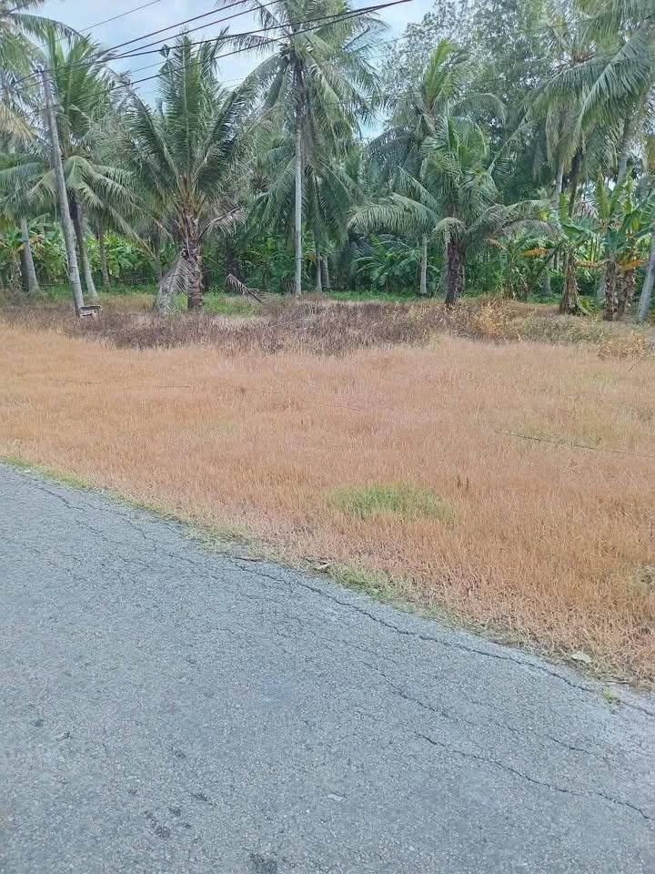 Đất nền mặt tiền đường ĐH 173, xã Phong Nẫm, 170m² giá 340 triệu - Cơ hội đầu tư hấp dẫn!