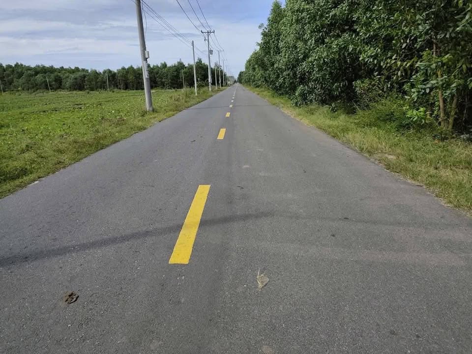 Đất thổ cư 3.000m² Lộc An, Đất Đỏ giá 2,5 triệu/m² - Đầu tư sinh lời tuyệt vời!