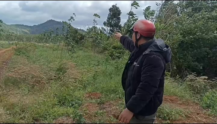 Đất Farm 6.000m² tại Xã Ia Phí, Chư Păh chỉ 1.1 tỷ - Đầu tư sinh lời ngay!