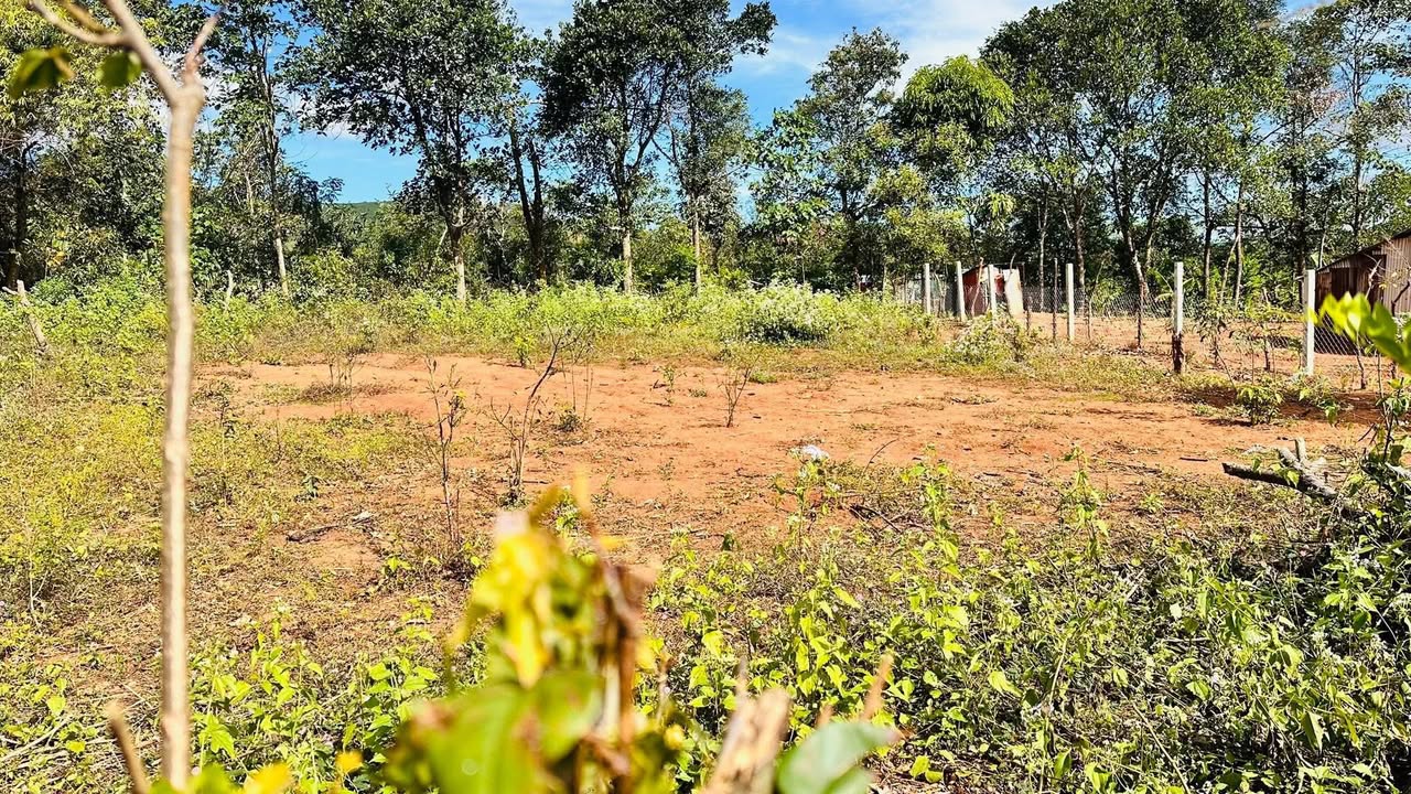 Đất nền đẹp tại xã Ia Khươl, Gia Lai 150m² - Sổ hồng đầy đủ, giá tốt!