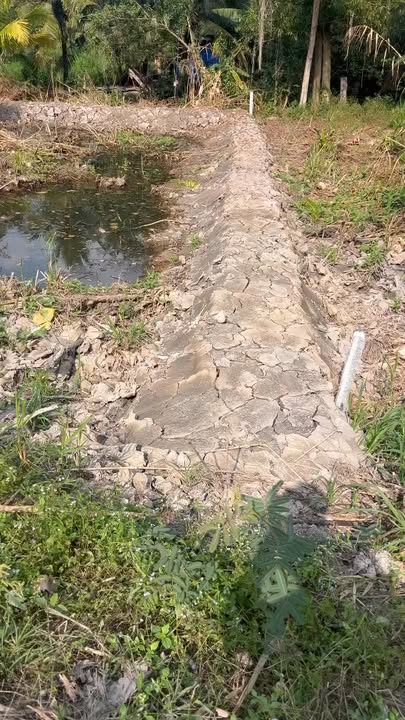 Đất nền Đông Thạnh Vĩnh Long 80m² giá 200 triệu - Cơ hội đầu tư tốt!