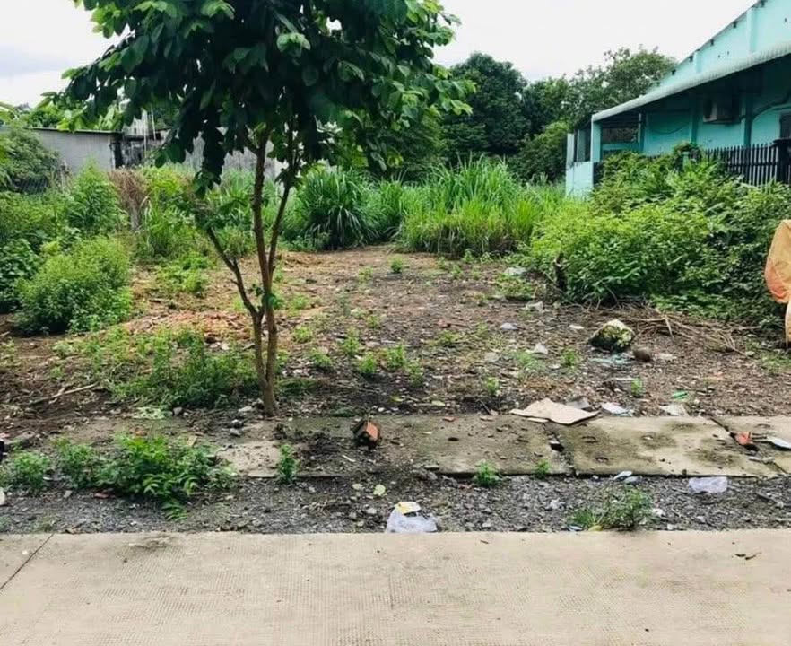 Đất thổ cư Củ Chi 115m² - Gần chợ, tiện ích đầy đủ!