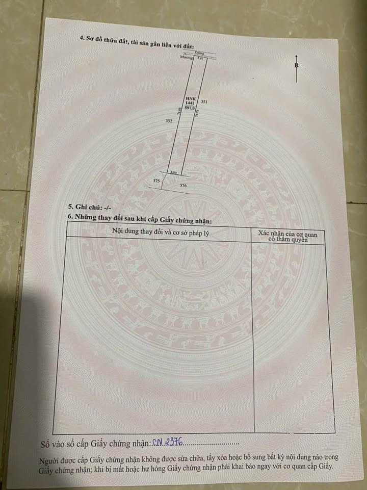 Đất Vườn Dừa Ninh Thuận 600m² chỉ 650 triệu - Đầu tư sinh lời hấp dẫn!