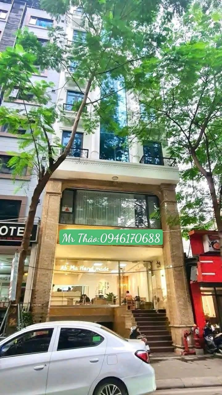 Nhà phố Cầu Giấy 100m² giá 45.5 tỷ - Vị trí đắc địa, ô tô tránh nhau!