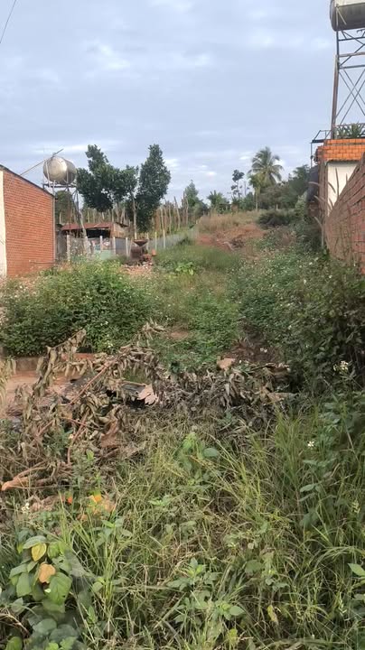 Đất nền Cư M'gar 300m² giá thỏa thuận - Vị trí vàng gần chợ và trường học!