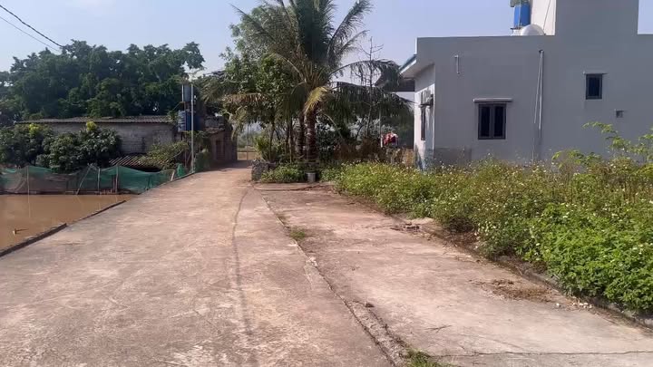 Đất nền Tuy Lai, Mỹ Đức 59m² giá 1 tỷ - Đường ô tô chạy vòng quanh!