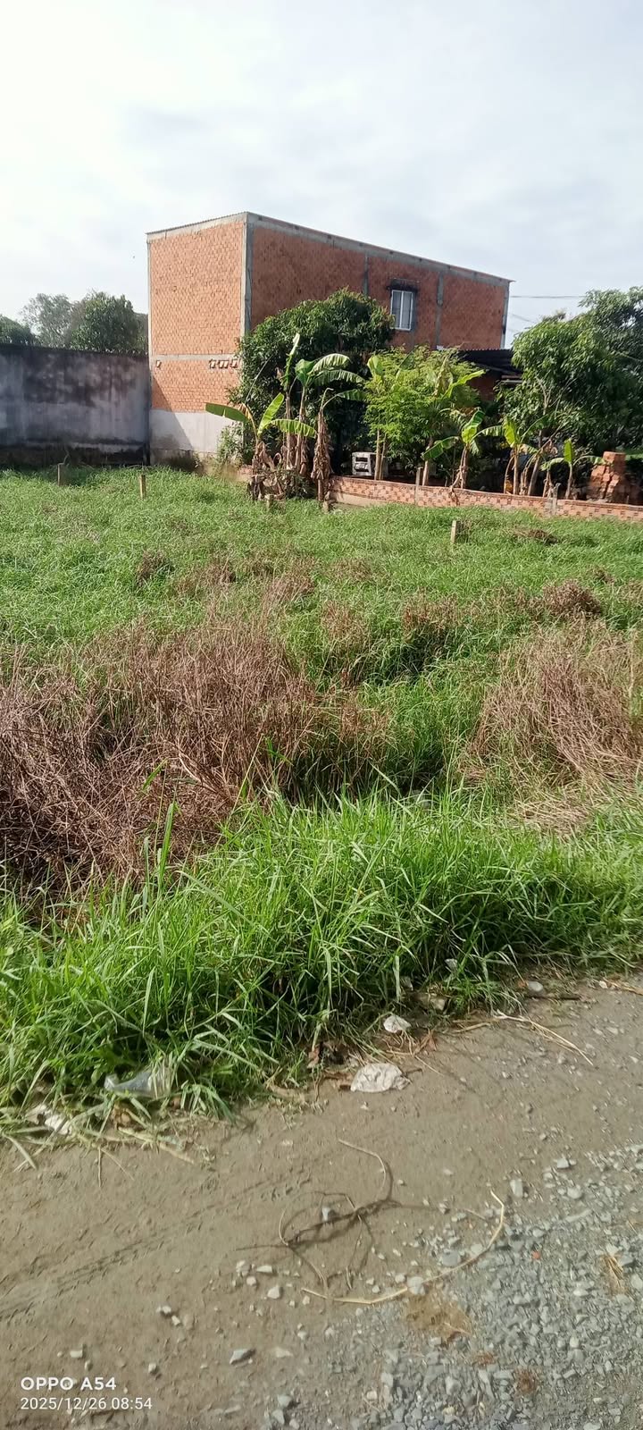 Đất thổ cư 120m² tại Đức Hòa - Giá chỉ 880 triệu, sổ hồng chính chủ!