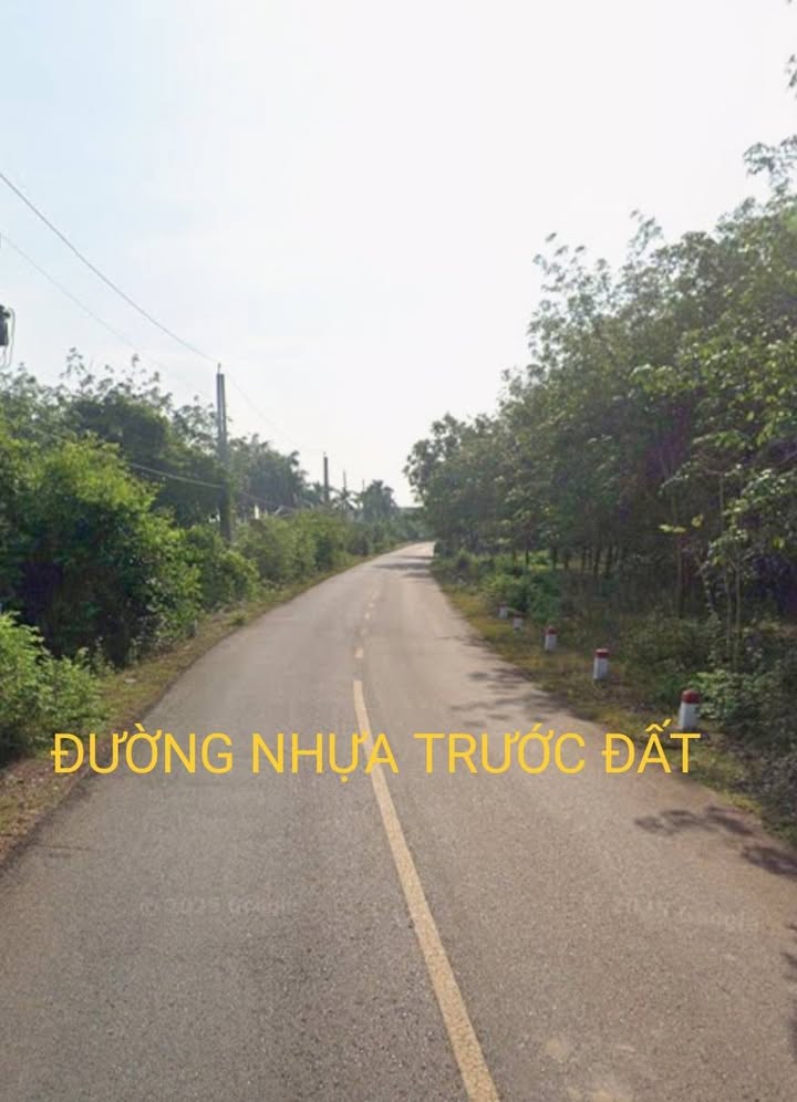 Đất nông nghiệp 4238m² xã Phước Bình, Long Thành, Đồng Nai giá 10 tỷ - Tiềm năng đầu tư lớn!