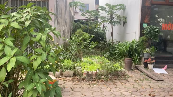 Đất kinh doanh và ở tại mặt chợ Vôi, Lạng Giang 72m² - Cơ hội đầu tư hấp dẫn!