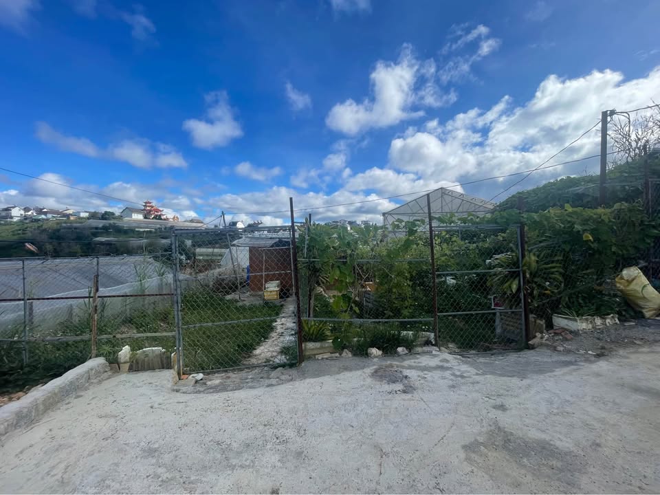 Đất nông nghiệp Kim Thạch, Đà Lạt 78m² giá 700 triệu - Cơ hội đầu tư hấp dẫn!