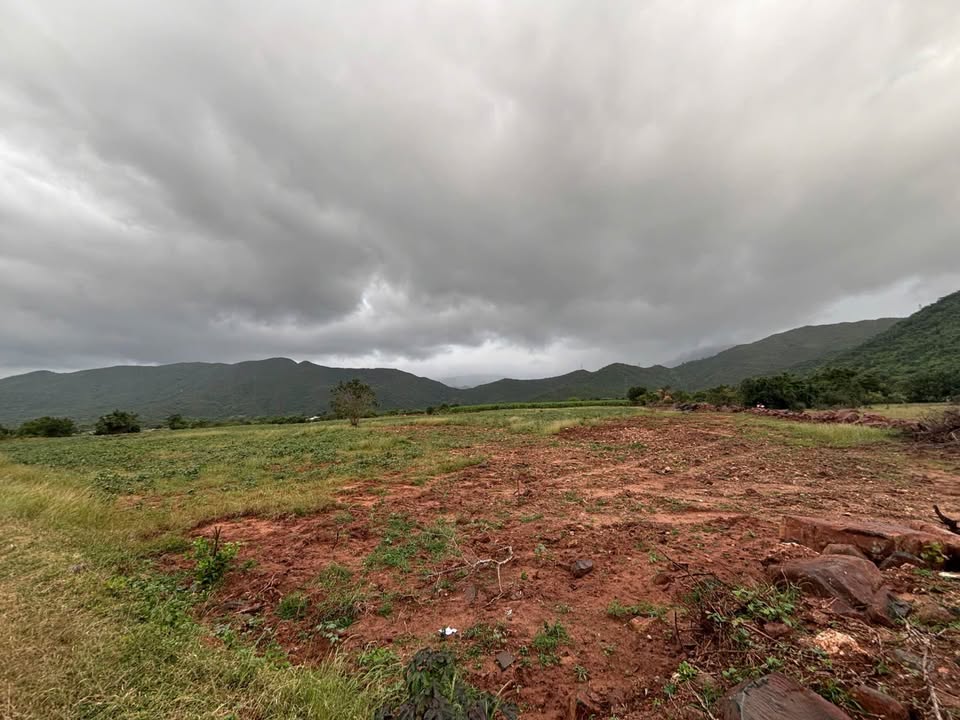 Đất Farm 20.000m² tại Phước Trung, Bác Ái - Giá chỉ 1 tỷ, có thương lượng!