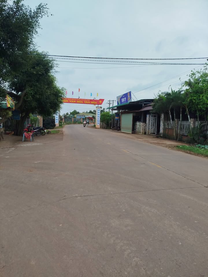 Đất thổ cư 600m² tại thôn Tân Lập 1 - Giá chỉ 600 triệu, đầu tư sinh lời!