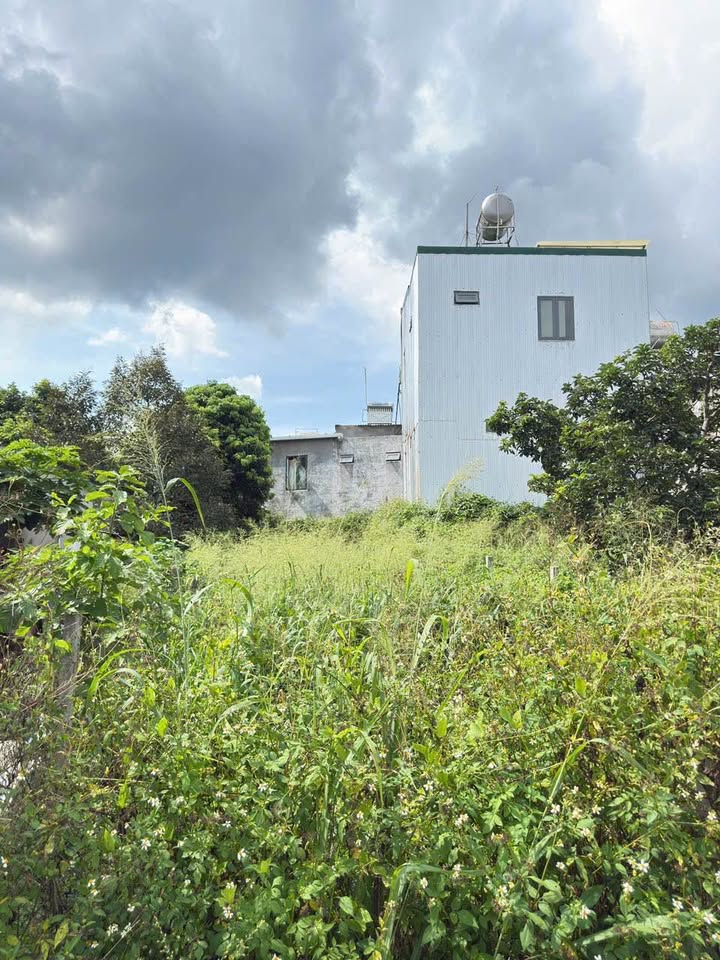 Đất thổ cư 125m² tại Tân Lập, BMT - Gần chợ đầu mối, giá chỉ 1.3 tỷ!