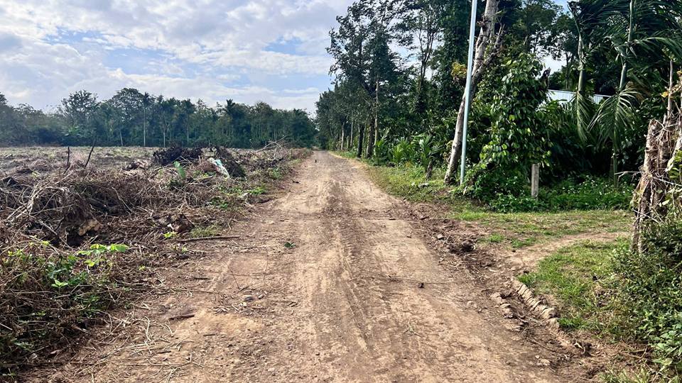 Đất nền thổ cư Ea Ktur 1134m² giá 800 triệu - Cơ hội đầu tư hấp dẫn!