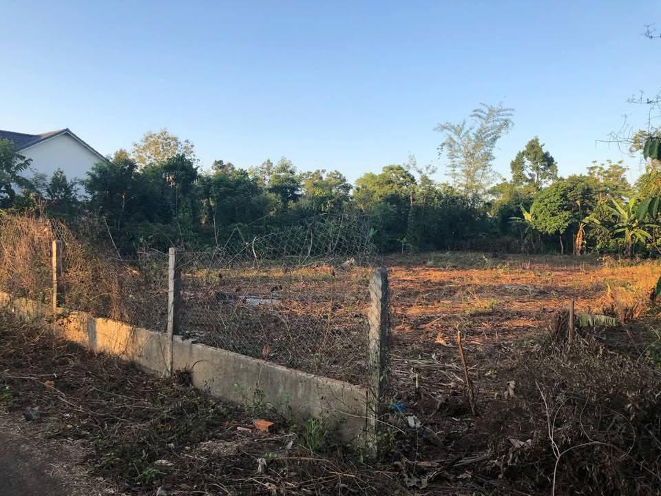 Đất nền 500m² đường N11, phường Tân An, Đắk Lắk - Giá chỉ 2,2 tỷ - Bớt lộc cho khách hàng thiện chí!