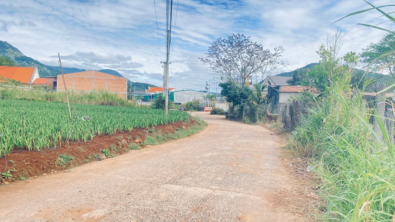 Đất nền Hiệp Thạnh, Đức Trọng 173m² giá 1.2 tỷ - Đầu tư sinh lời hấp dẫn!