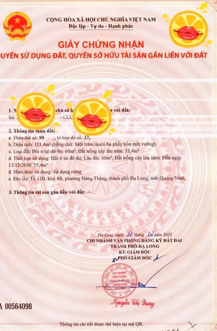 Đất mặt đường Hùng Thắng, Hạ Long 113m² giá 3.9 tỷ - Đường nhựa rộng rãi, sổ đỏ chính chủ!